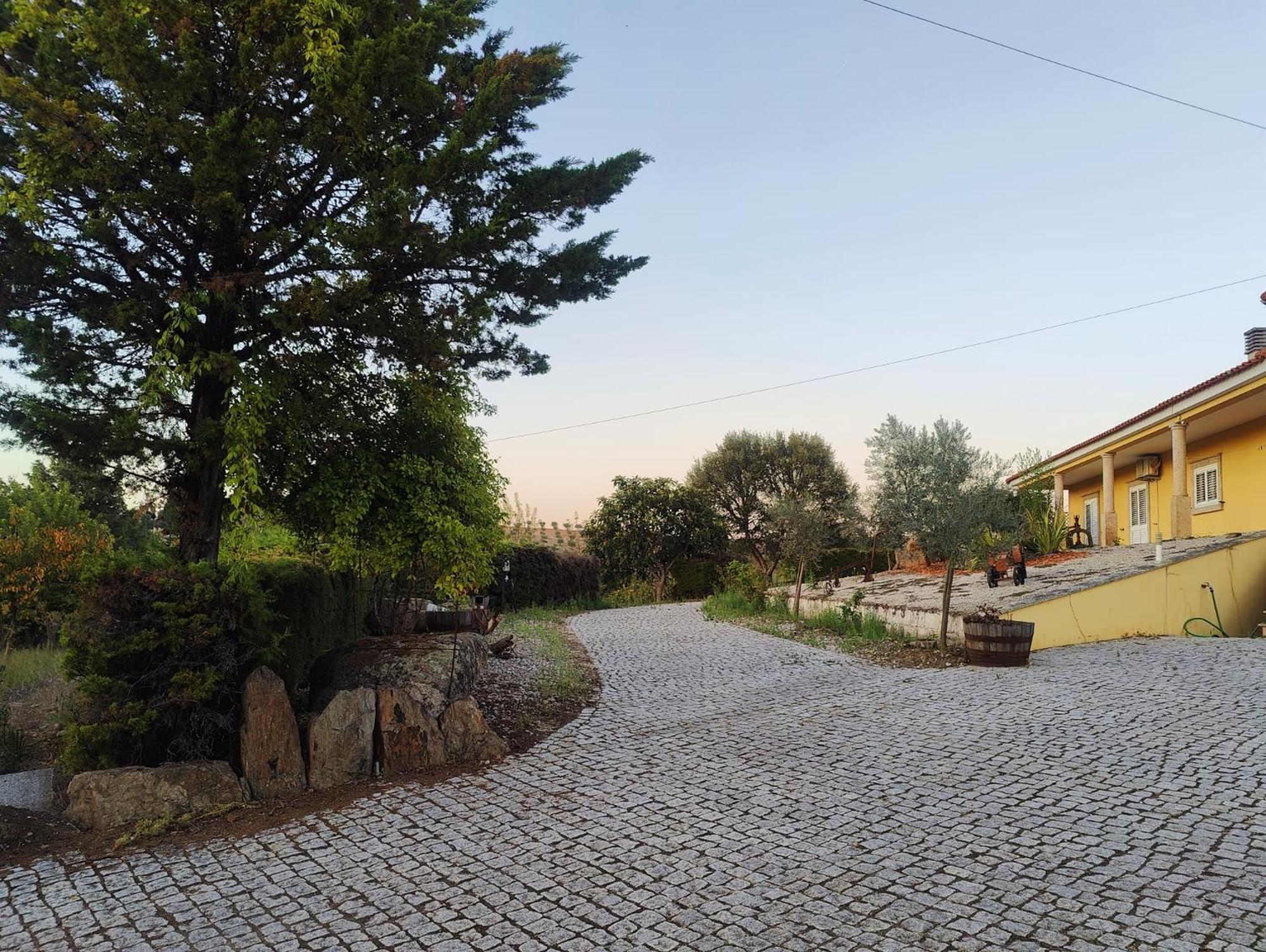 Quinta Da Libelinha Alojamento Local - Mirandela Esterno foto